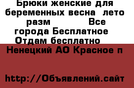 Брюки женские для беременных весна, лето (разм.50 XL). - Все города Бесплатное » Отдам бесплатно   . Ненецкий АО,Красное п.